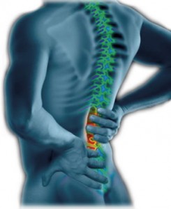 Common Spinal Disorders